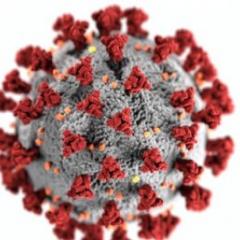 Virus
